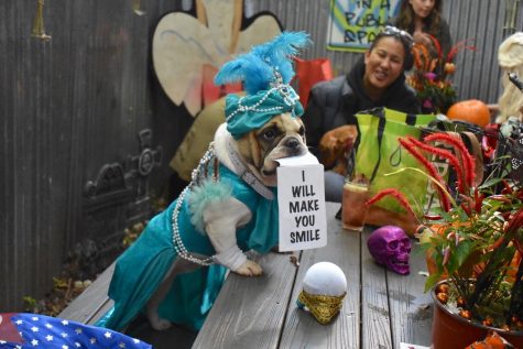 The organization Good Lower East Side took on the Tompkins Square Halloween Parade when past organizers backed out due to an insurance issue. (Photo courtesy of Abby Turbenson)