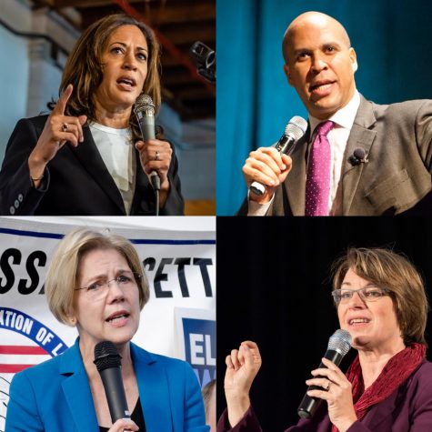Fordham Democrats and Republicans Comment on Upcoming 2020 Primaries
