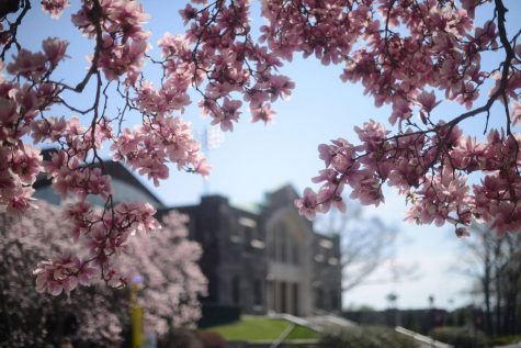 The Fordham First Year Experience: Three Rams Recall Personal Journeys