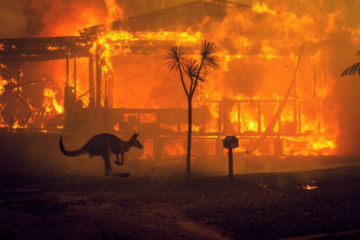 A+kangaroo+rushes+past+a+burning+house+in+Lake+Conjola%2C+Australia%2C+on+Tuesday%2C+Dec.+31+2019.+This+fire+season+has+been+one+of+the+worst+in+Australia%27s+history%2C+with+at+least+15+people+killed%2C+hundreds+of+homes+destroyed+and+millions+of+acres+burned.++%28Matthew+Abbott%2FThe+New+York+Times%29