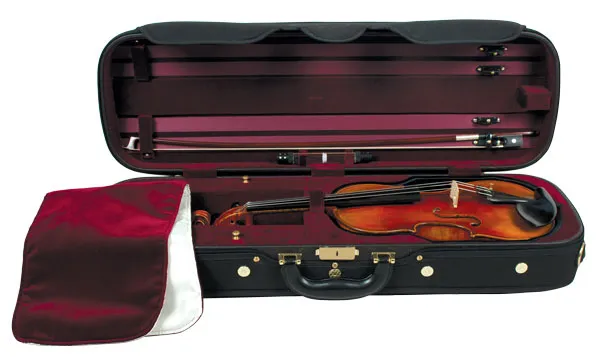 Style Meets Safety: The Key Features of Modern Violin Cases