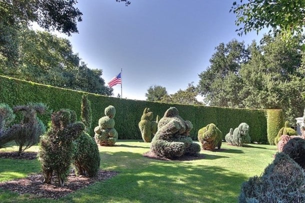 Hedges and Topiaries