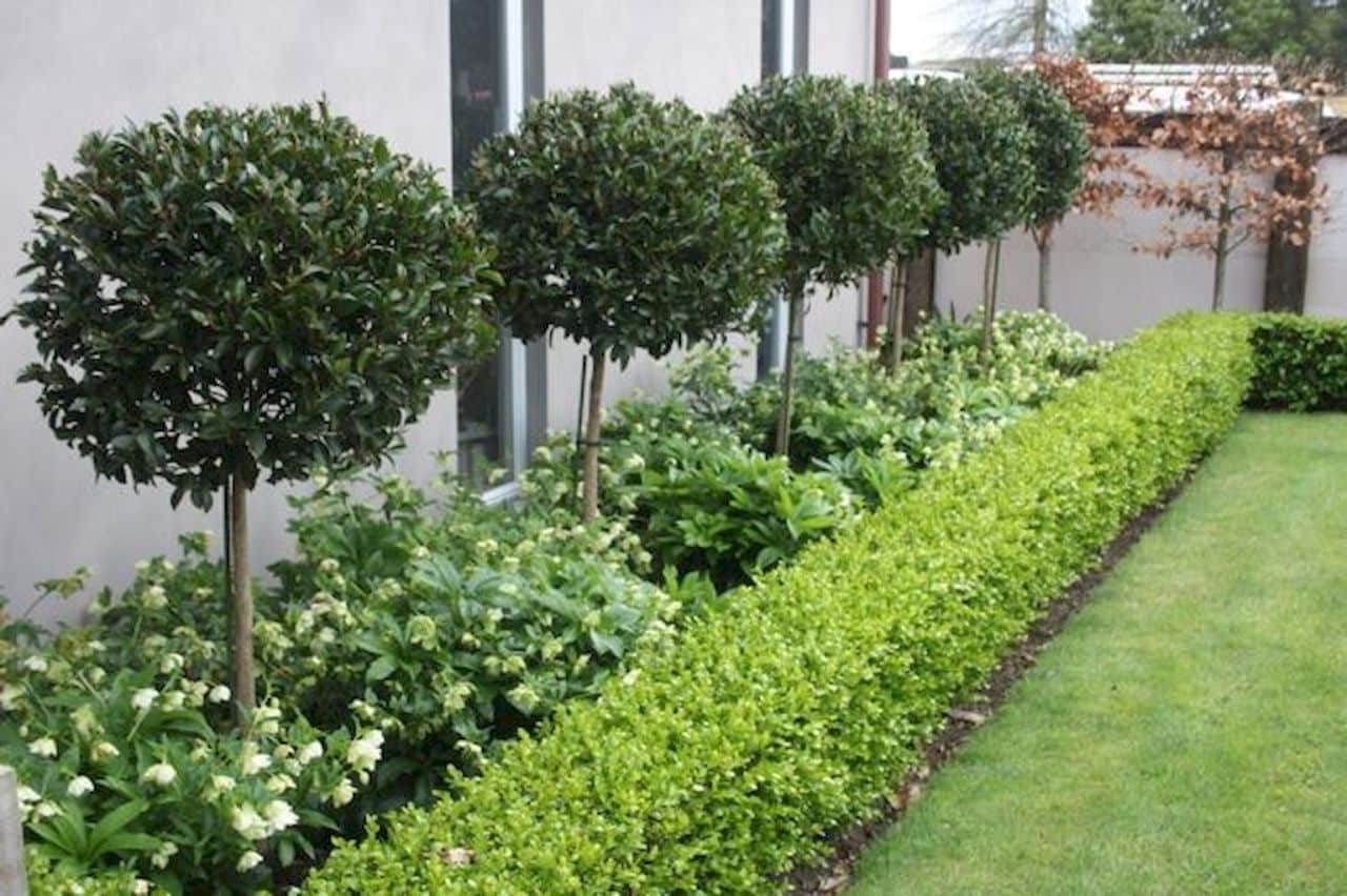 21 Of The Best Landscape Hedge Ideas 15 Is Our Favorite The