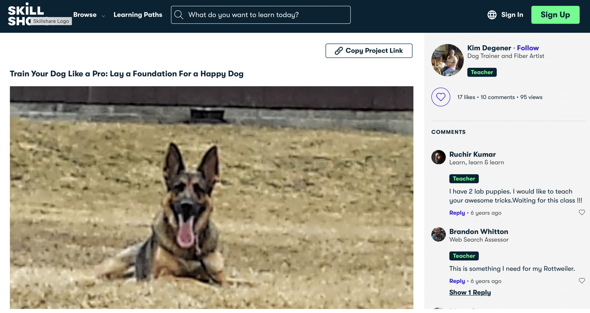 Skillshare Train Your Dog Like a Pro Lay a Foundation For a Happy Dog
