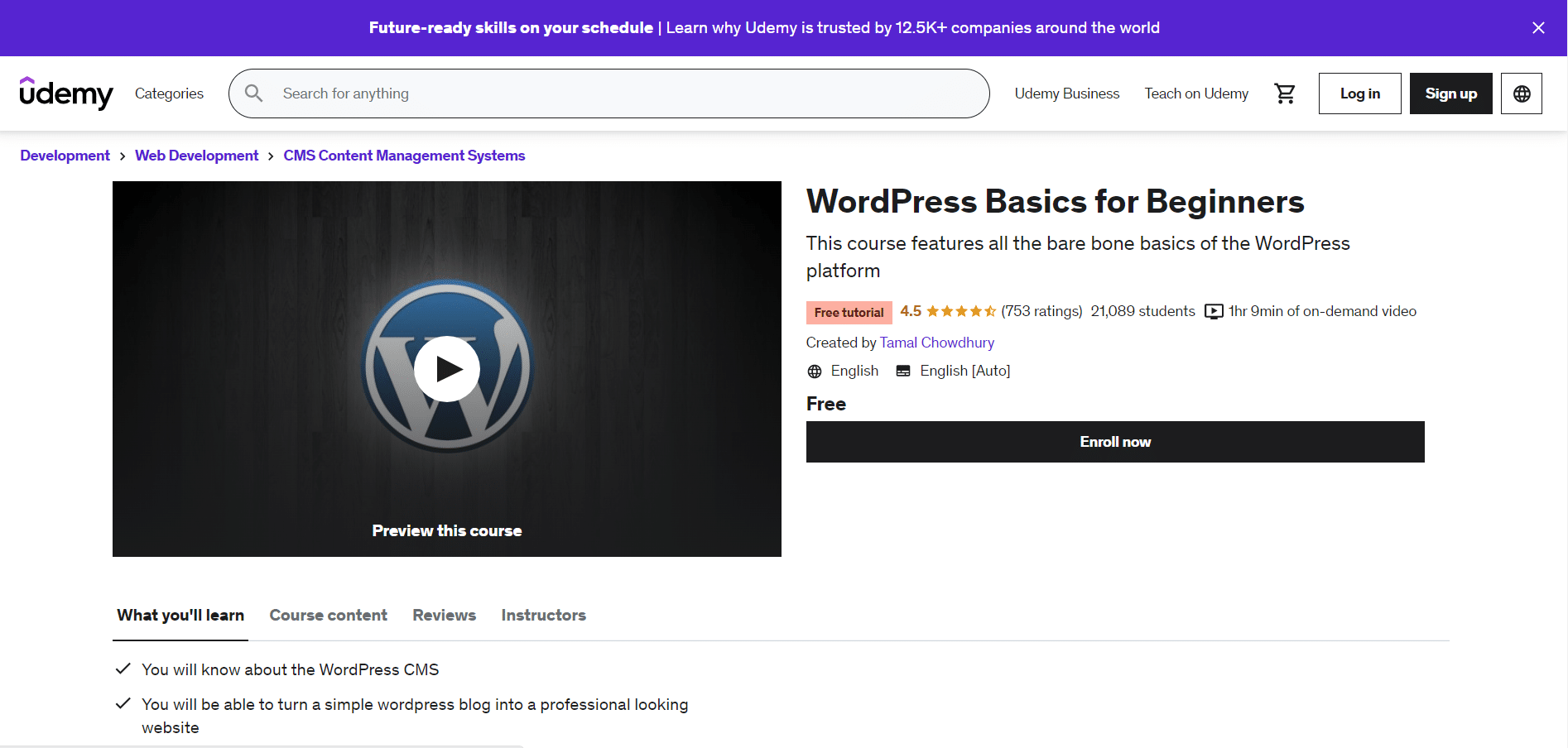 WordPress Basics for Beginners