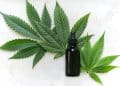 CBD Oil vs. Blood Pressure Medications: Which Is More Effective? 